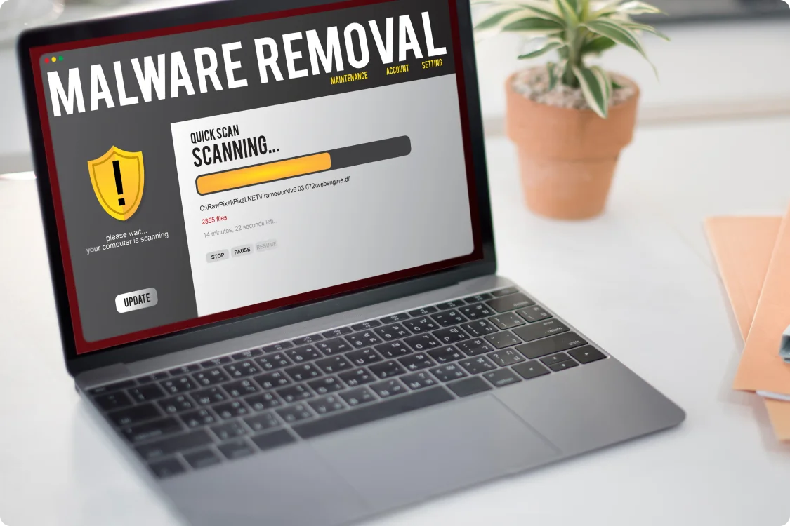 Malware Scanning and Removal