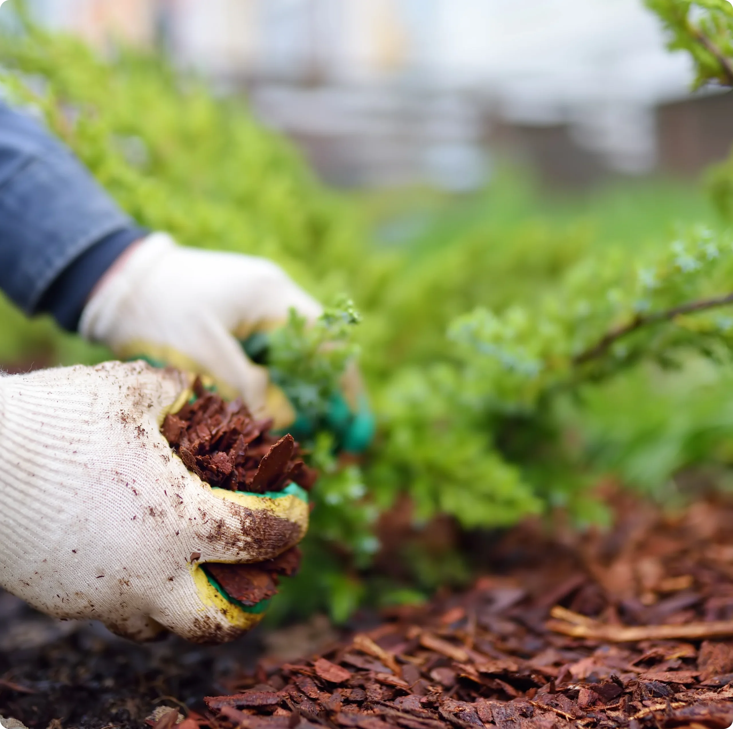 SEO for Landscaping Contractors