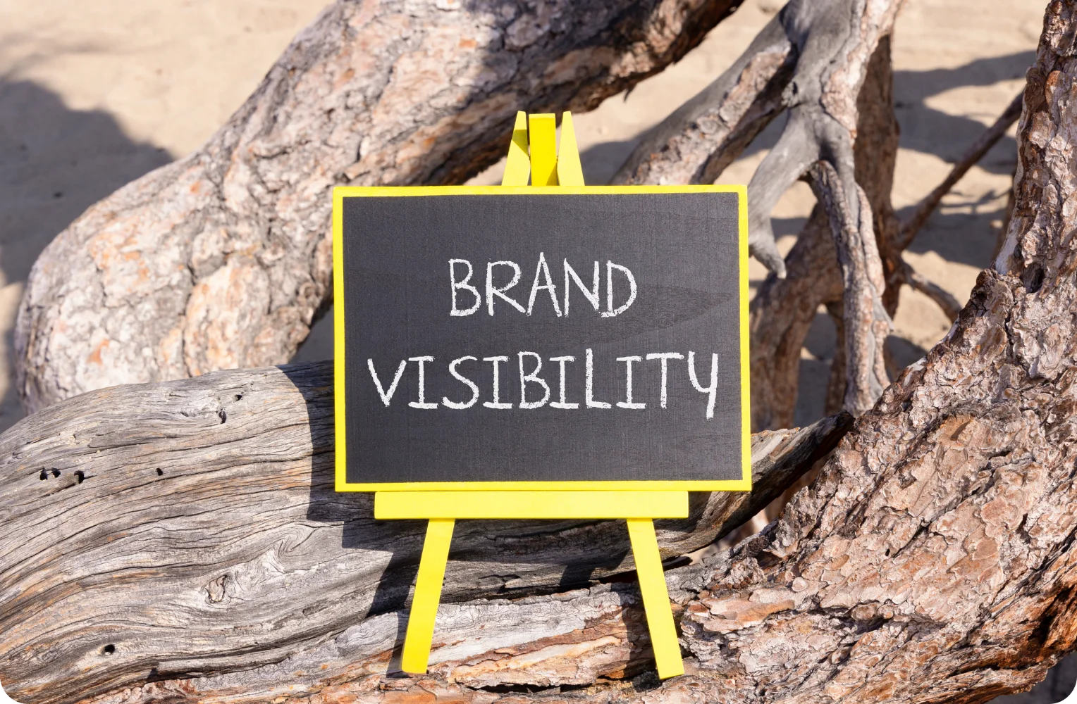 Boost Your Brand's Visibility Today